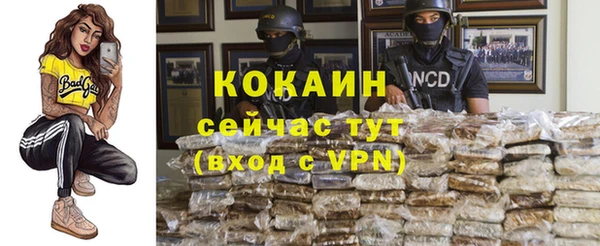 спайс Баксан