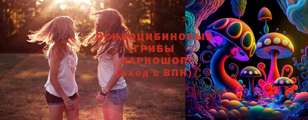 тгк Балахна