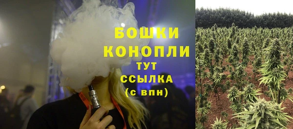 спайс Баксан
