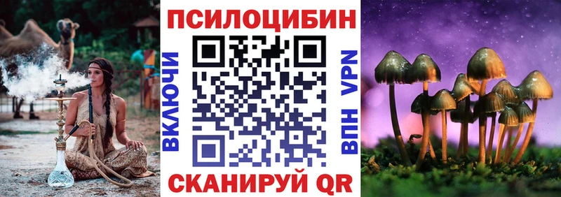 Псилоцибиновые грибы прущие грибы Гуково