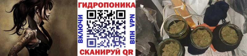 сайты даркнета состав  Гуково  Бошки марихуана планчик 
